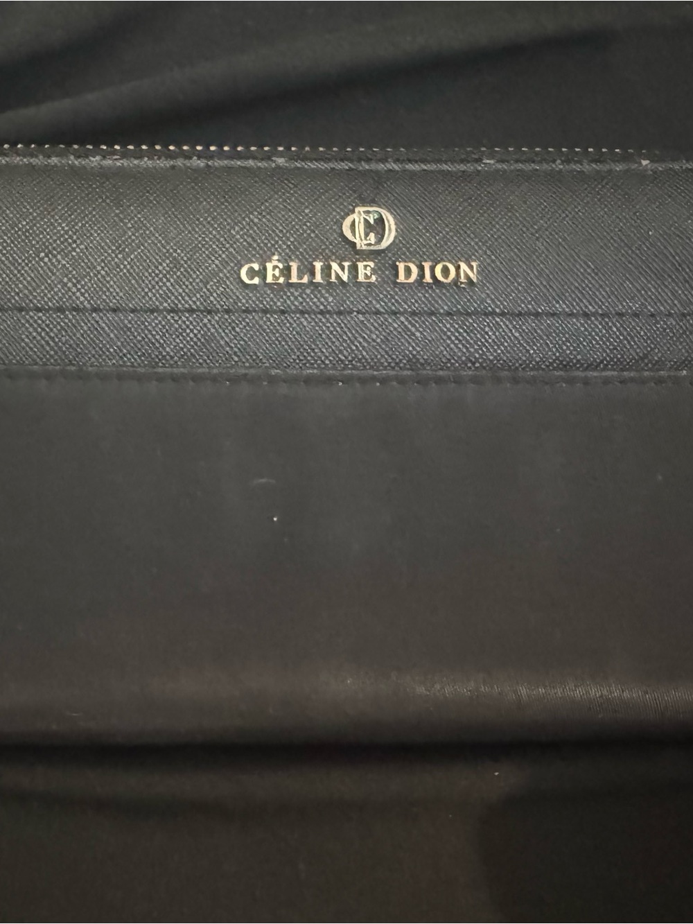 Céline Dion Black Men's Designer Bag - Sleek Everyday Carry